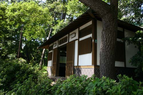 060903.jpg 500333 67K